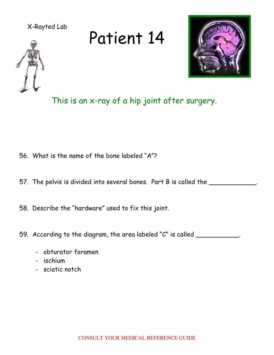 X-Ray Web Lab - Page 20