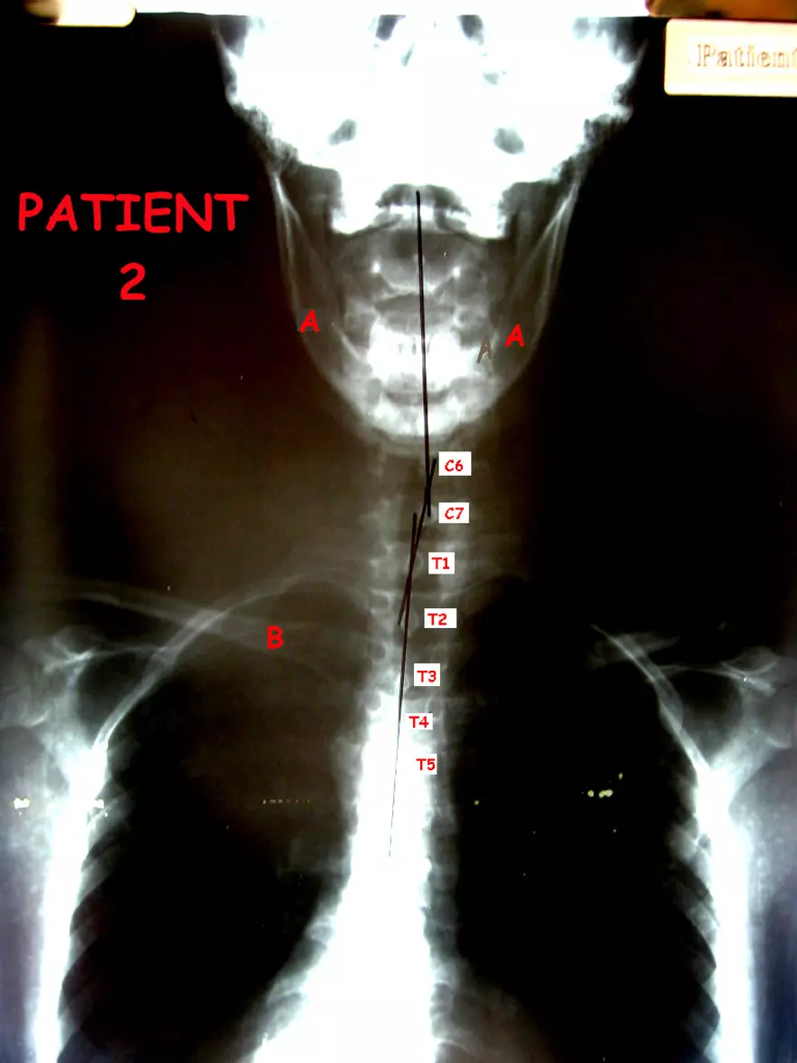 X-Ray Web Lab - Page 24