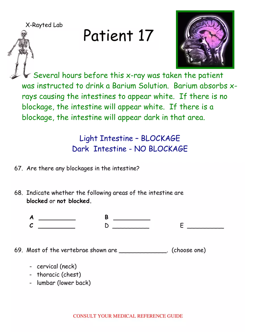 X-Ray Web Lab - Page 27