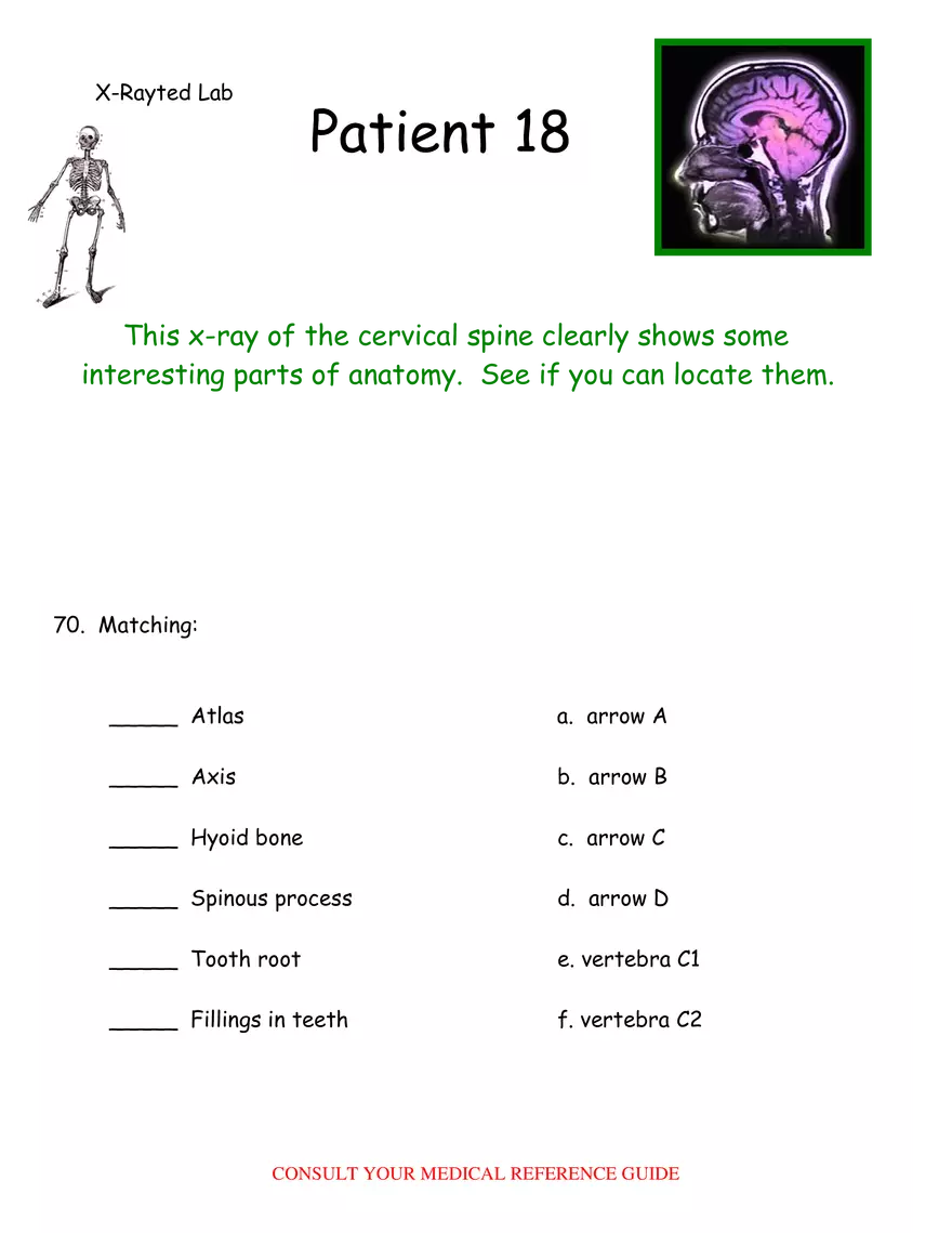 X-Ray Web Lab - Page 29
