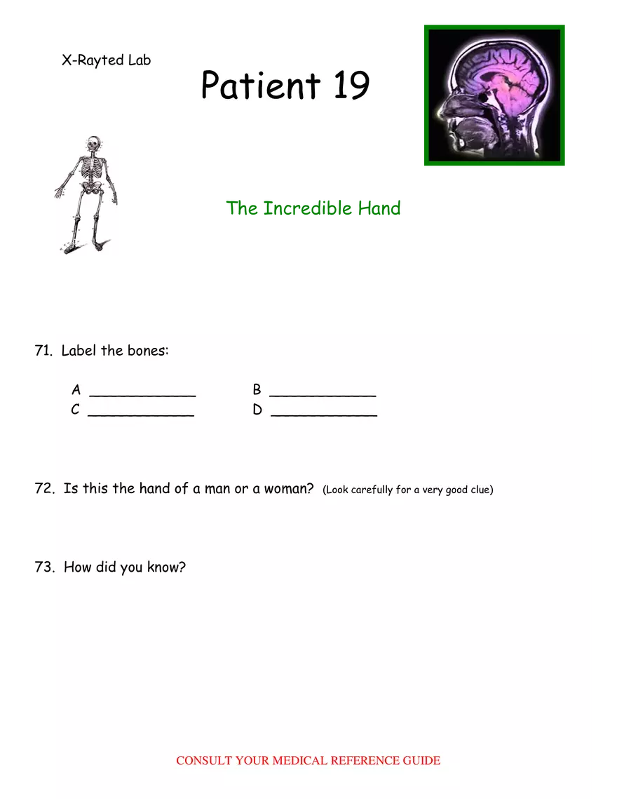 X-Ray Web Lab - Page 31