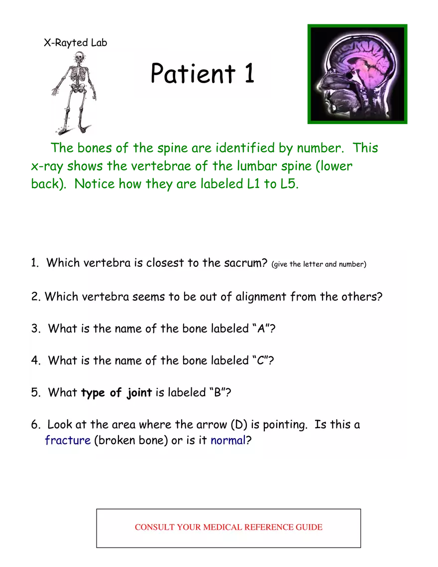 X-Ray Web Lab - Page 1