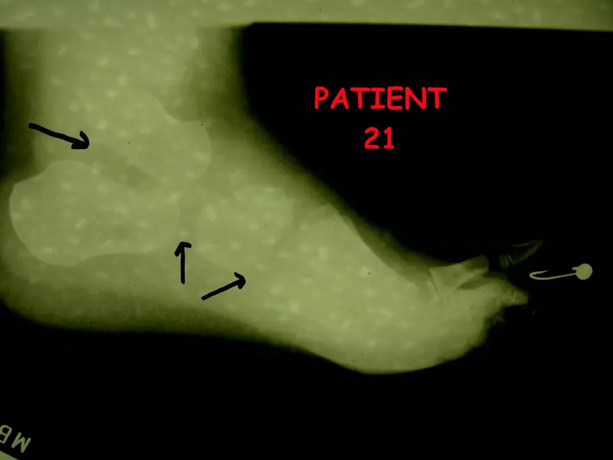 X-Ray Web Lab - Page 37