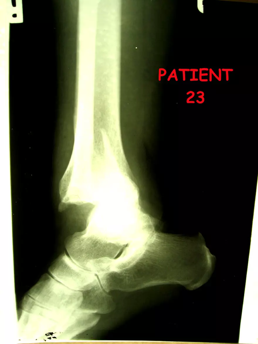 X-Ray Web Lab - Page 41