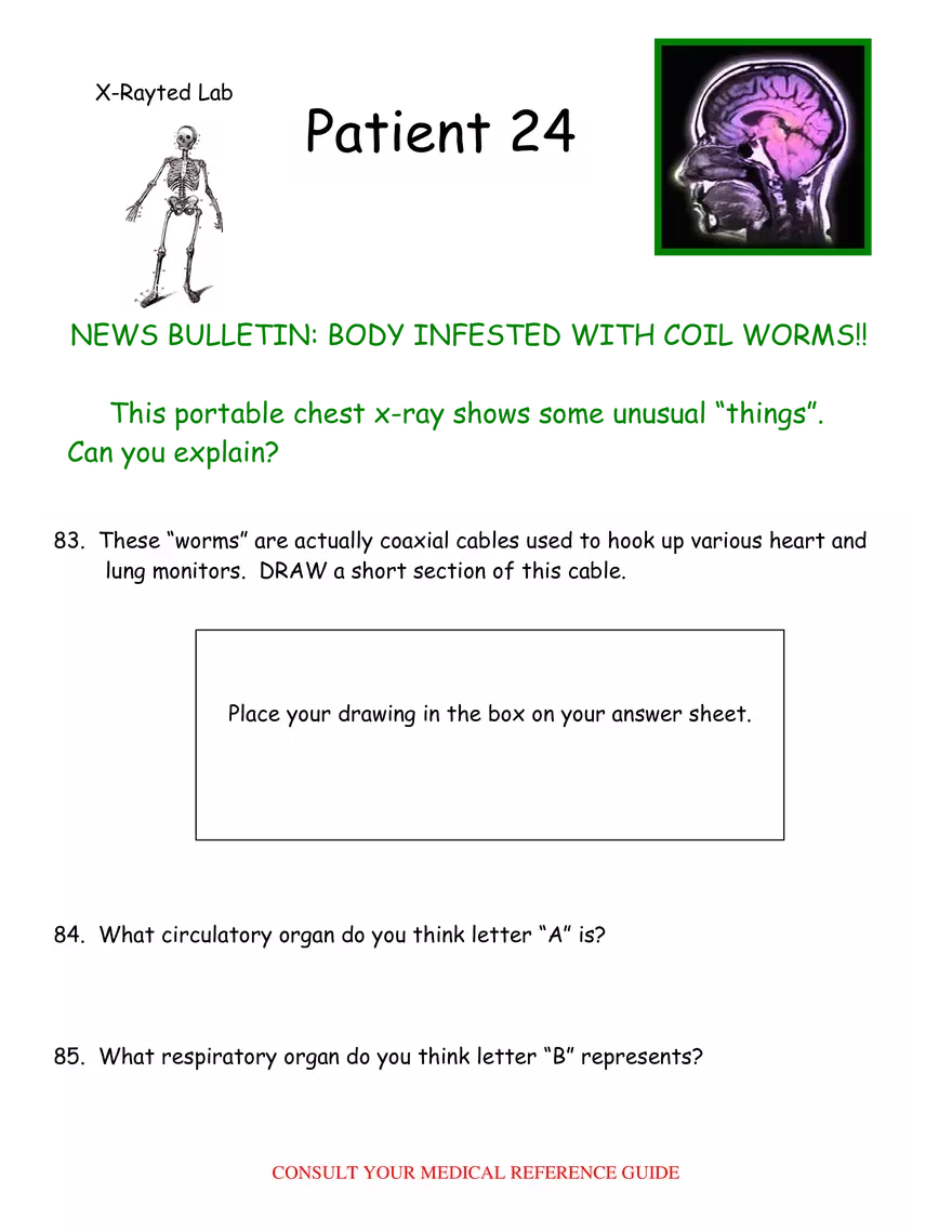 X-Ray Web Lab - Page 42