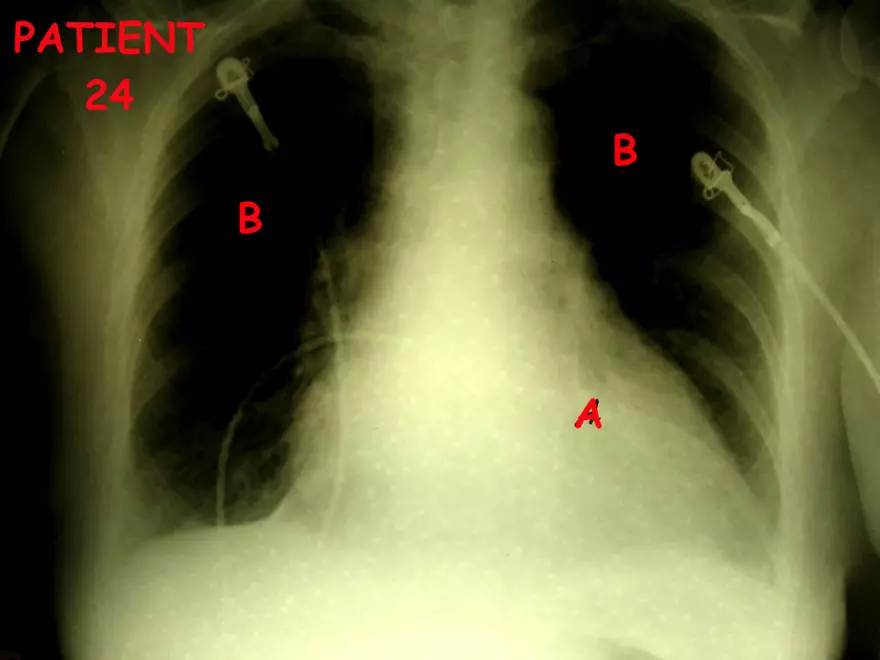 X-Ray Web Lab - Page 43