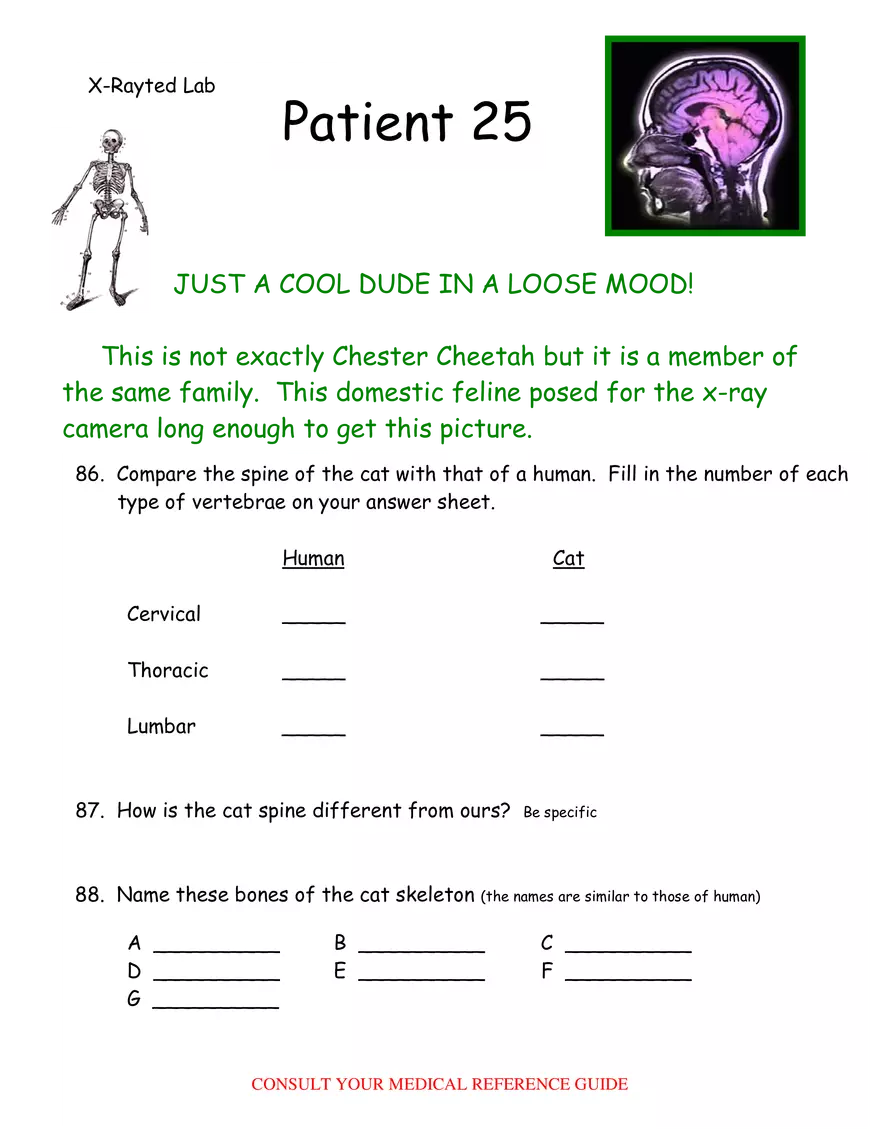 X-Ray Web Lab - Page 44