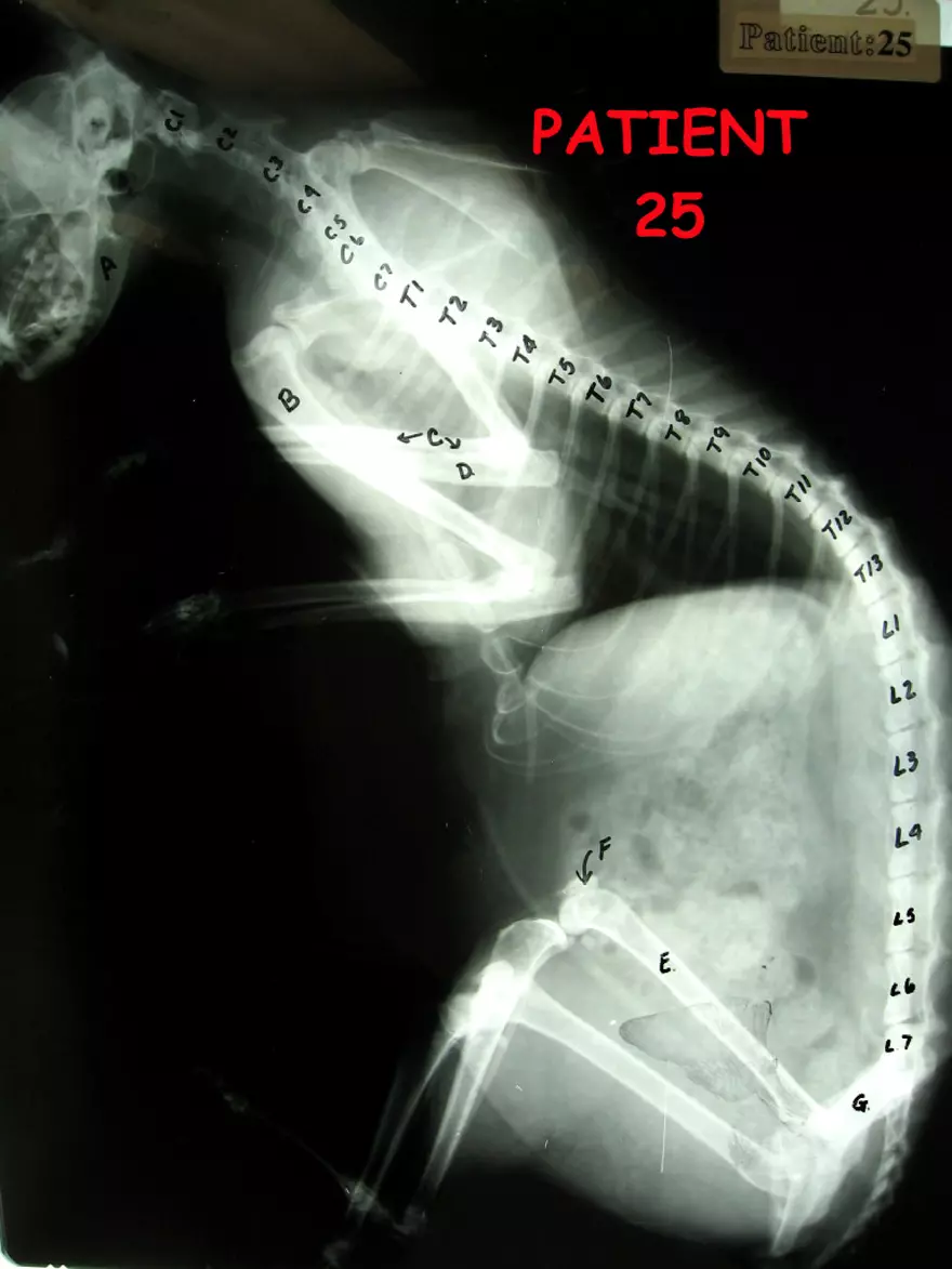 X-Ray Web Lab - Page 45