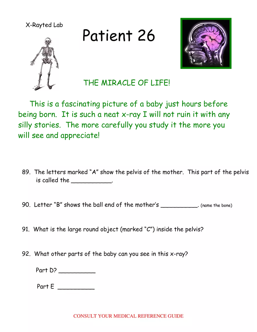 X-Ray Web Lab - Page 47