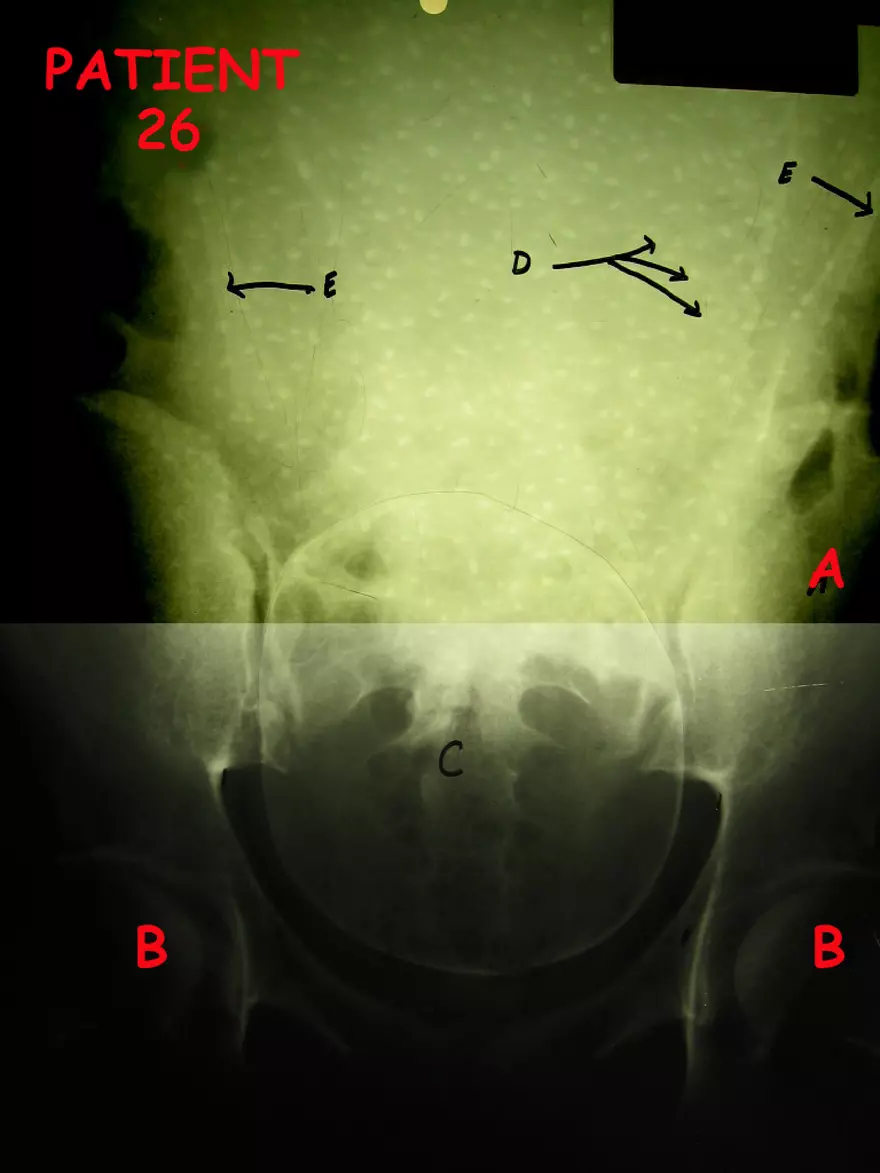 X-Ray Web Lab - Page 48