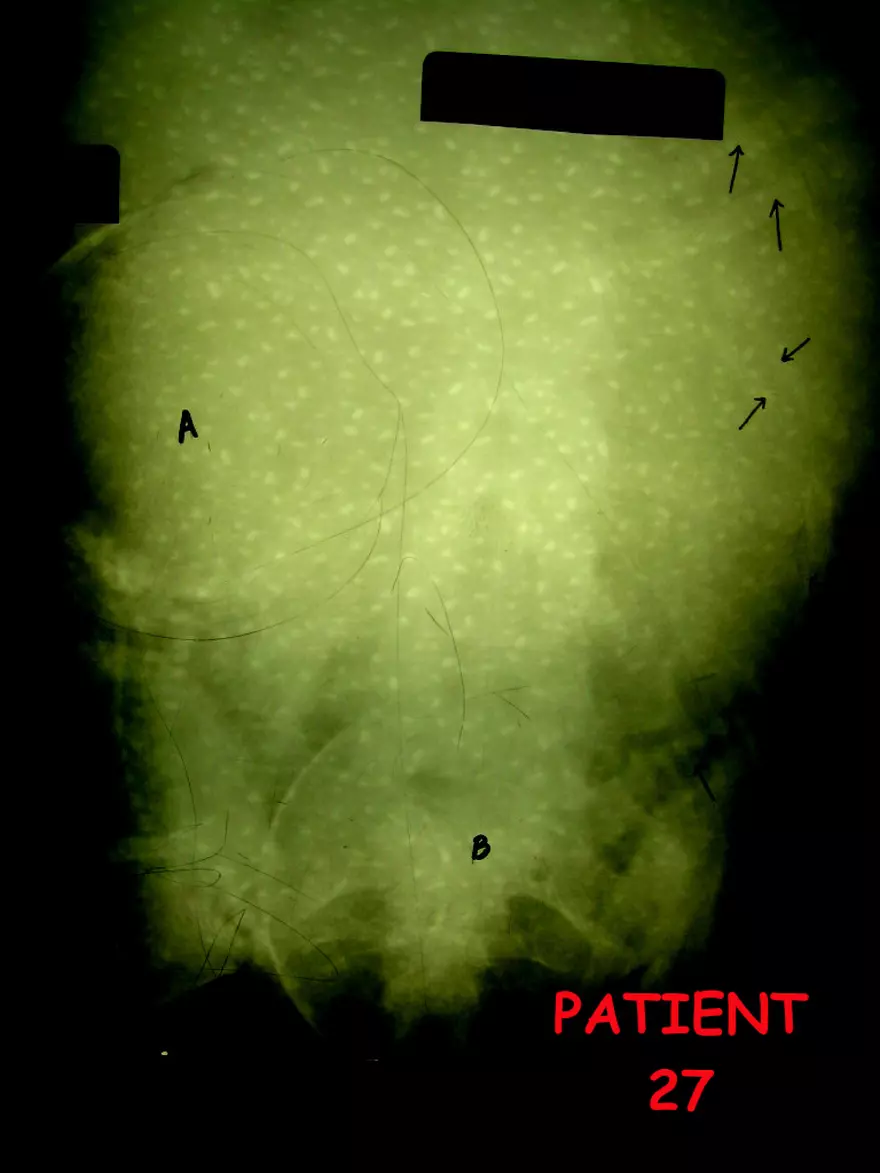 X-Ray Web Lab - Page 50