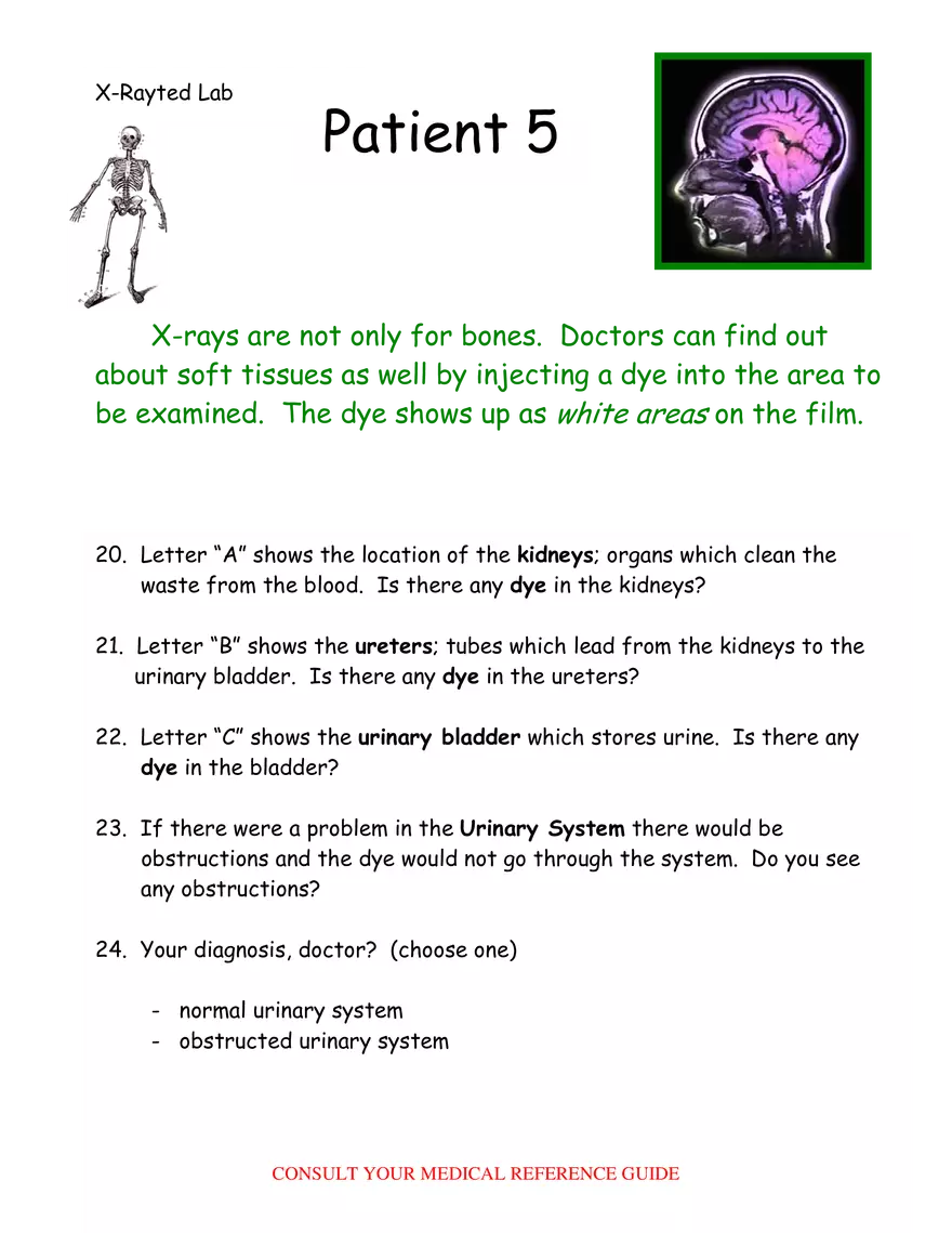 X-Ray Web Lab - Page 53