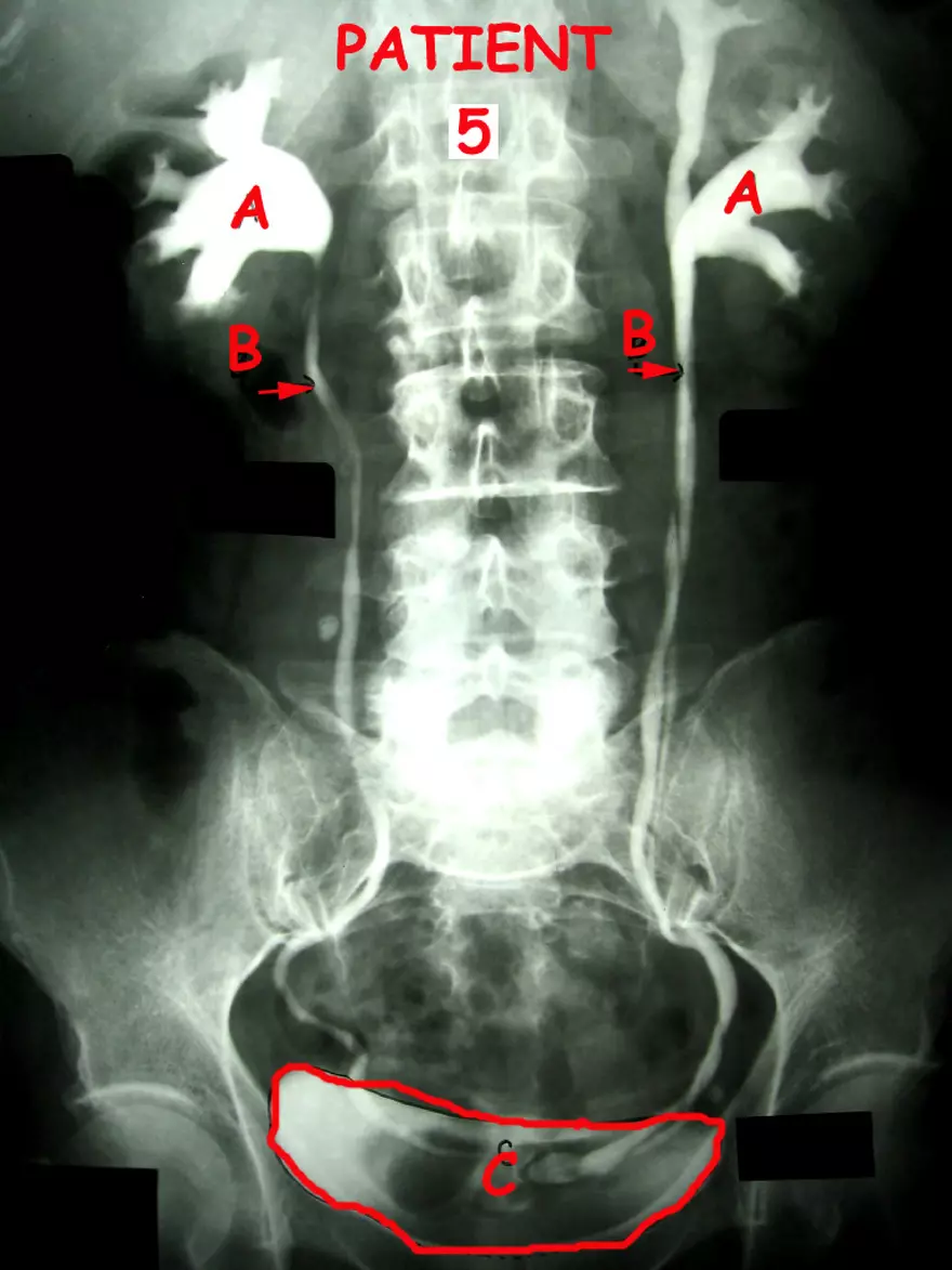 X-Ray Web Lab - Page 54