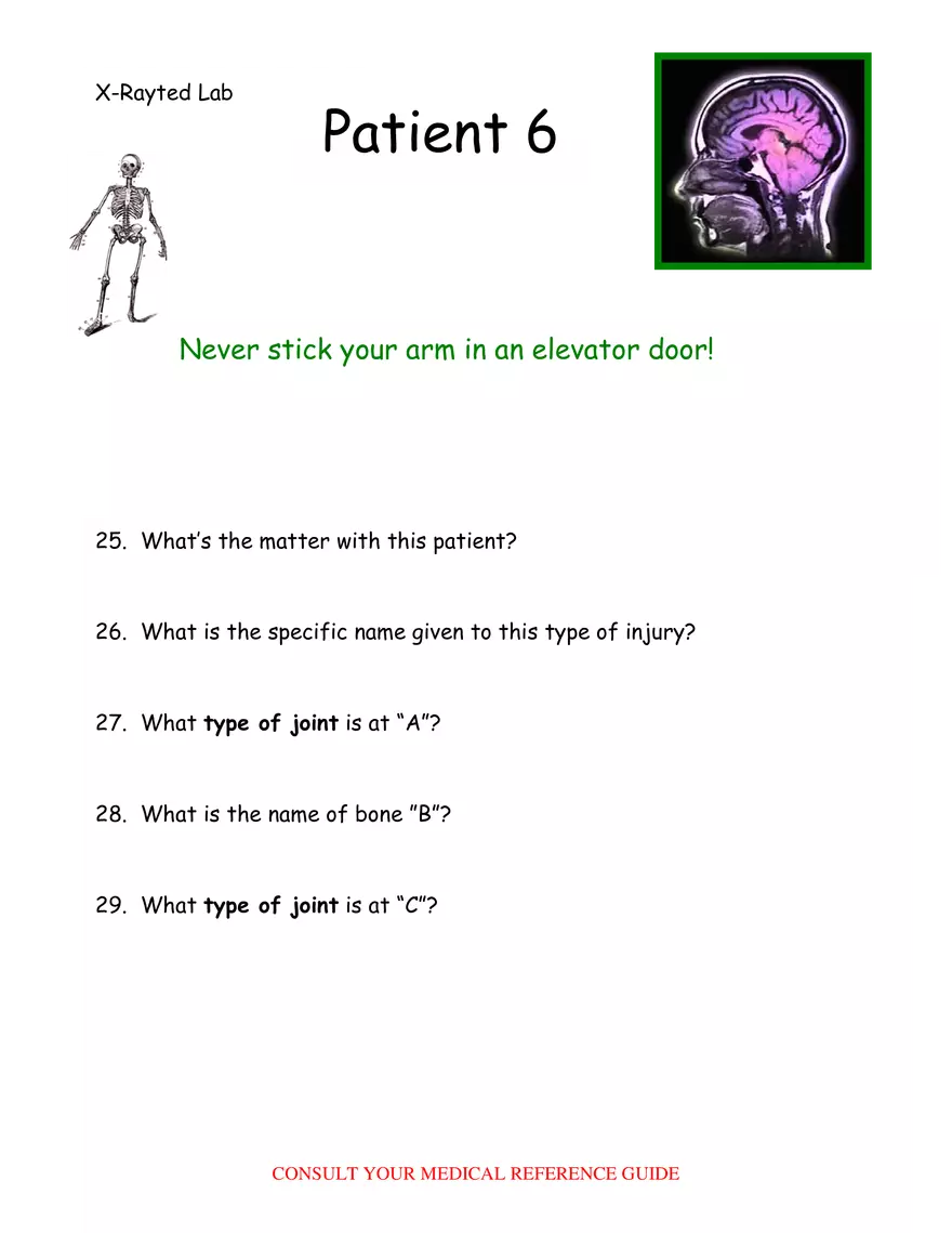 X-Ray Web Lab - Page 3