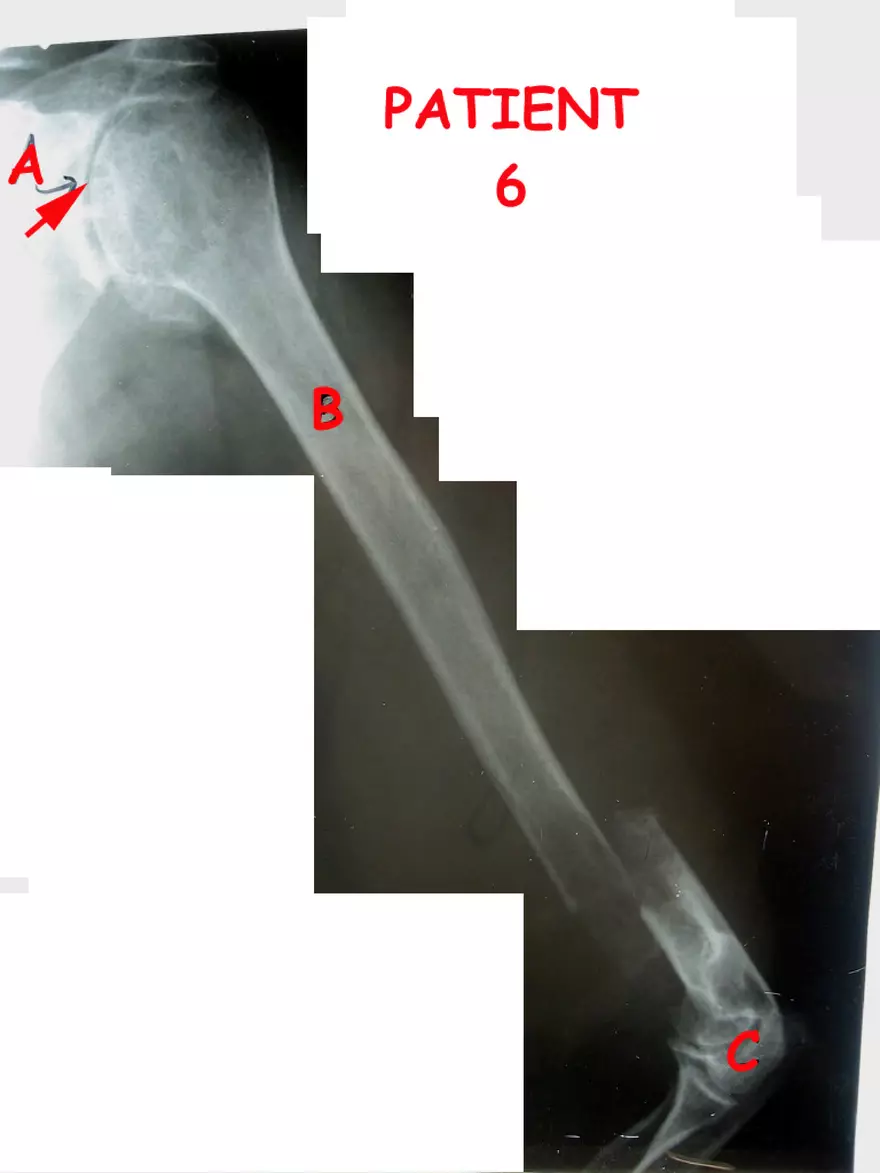 X-Ray Web Lab - Page 4
