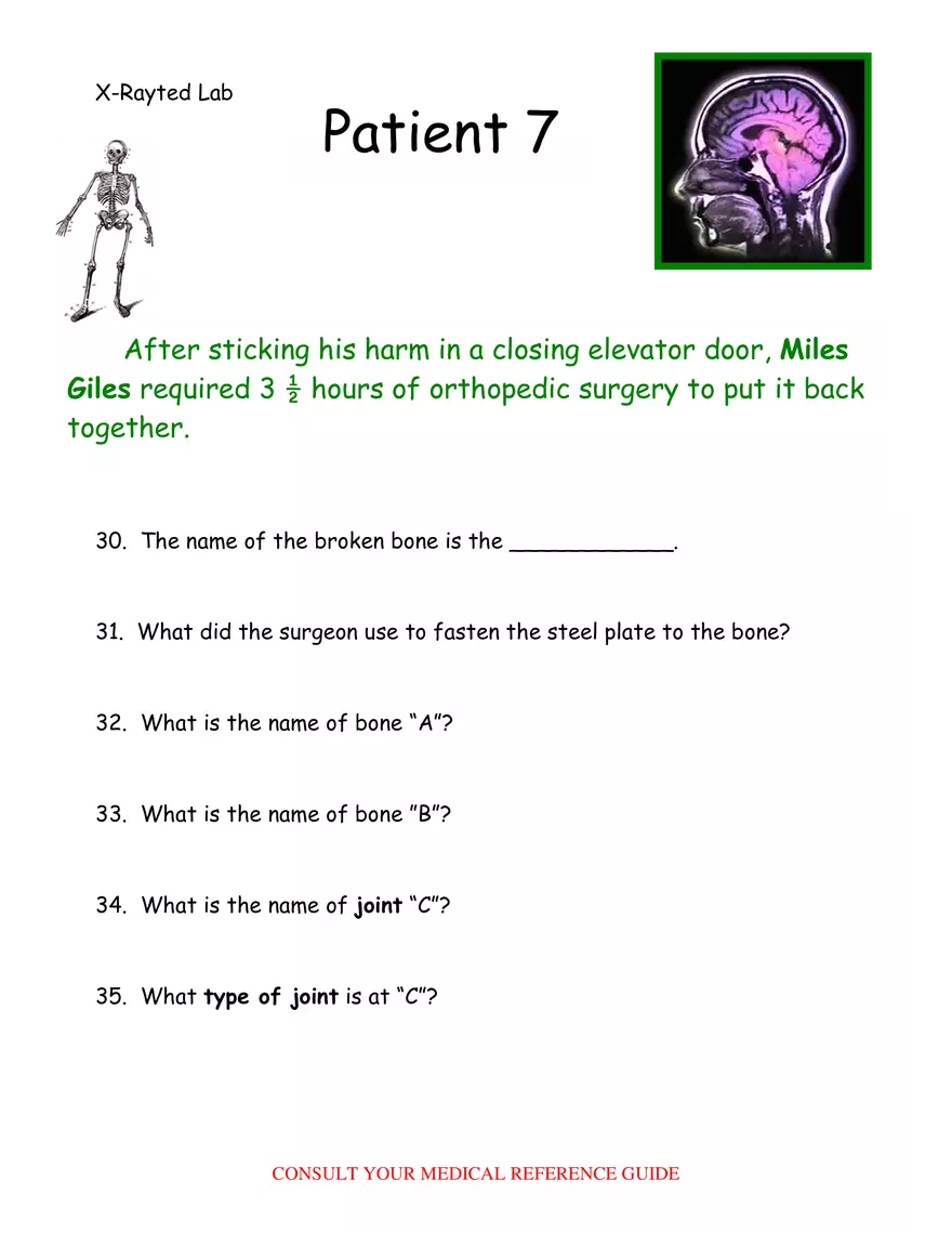 X-Ray Web Lab - Page 5