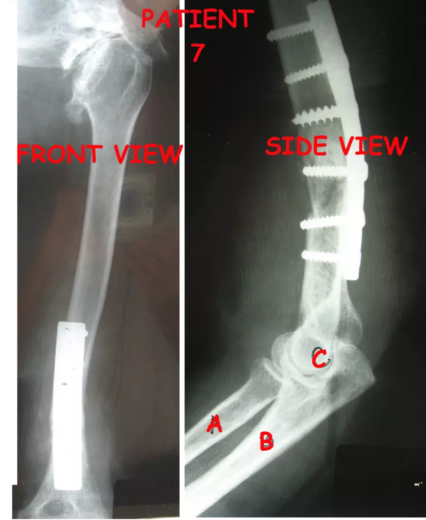 X-Ray Web Lab - Page 6
