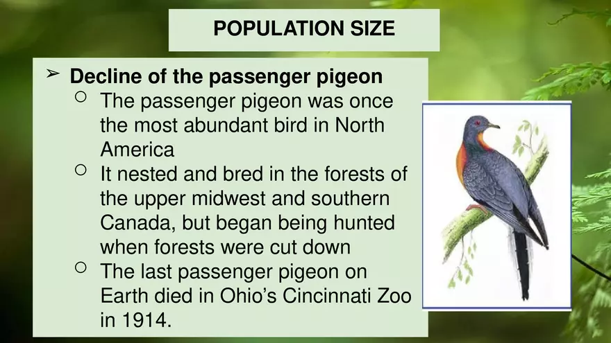 Describing Populations Lecture 4.2 - Page 8