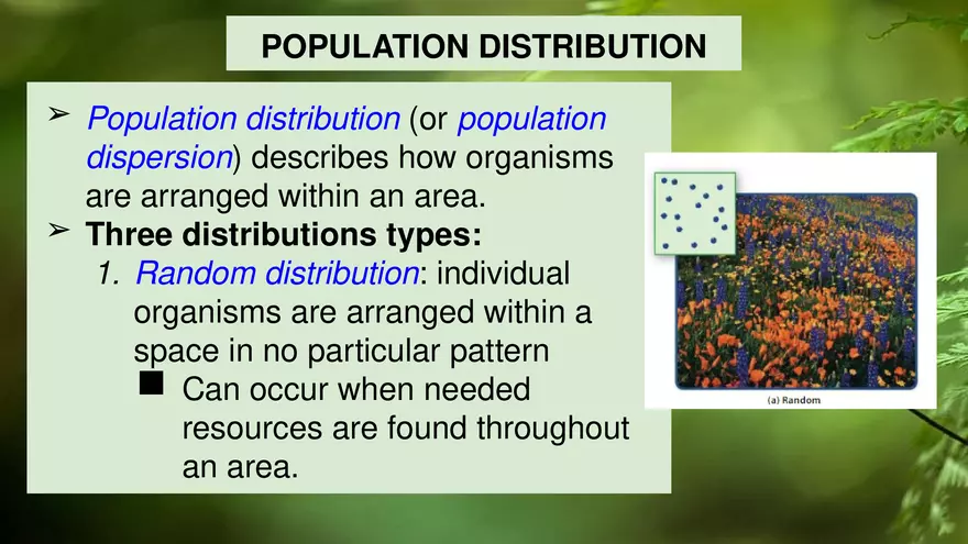 Describing Populations Lecture 4.2 - Page 13