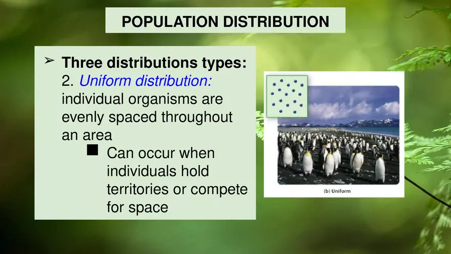 Describing Populations Lecture 4.2 - Page 14