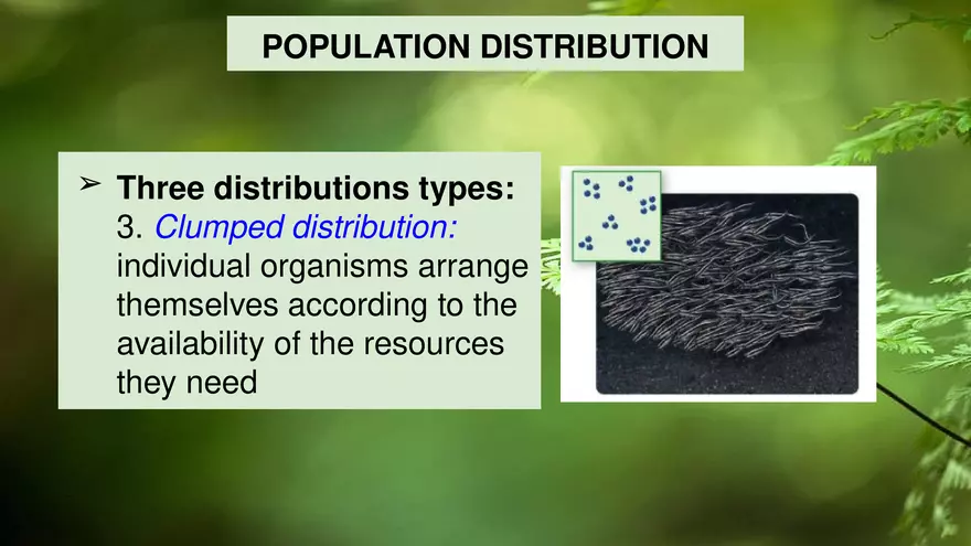 Describing Populations Lecture 4.2 - Page 3