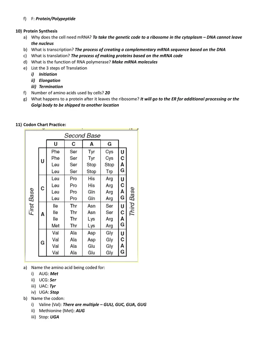 DNA and Protein Synthesis - History of DNA - Page 3