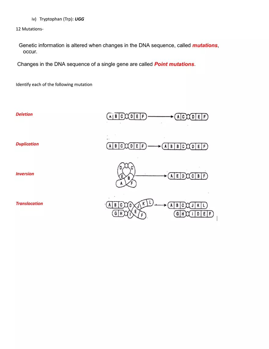 DNA and Protein Synthesis - History of DNA - Page 4