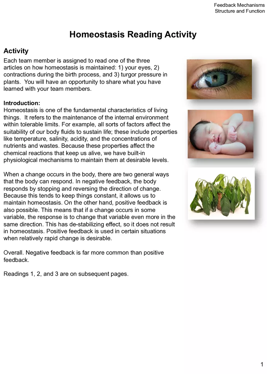 Homeostasis Reading Activity - Page 1
