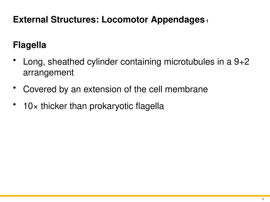 A Survey of Eukaryotic Cells and Microorganisms Part 1 - Page 8