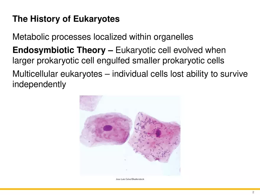 A Survey of Eukaryotic Cells and Microorganisms Part 1 - Page 1