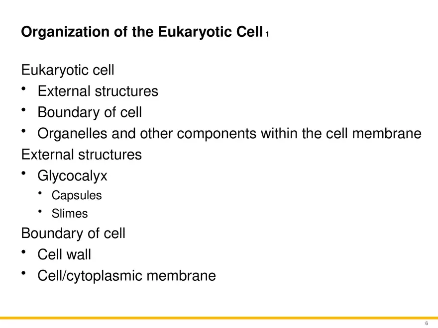 A Survey of Eukaryotic Cells and Microorganisms Part 1 - Page 5