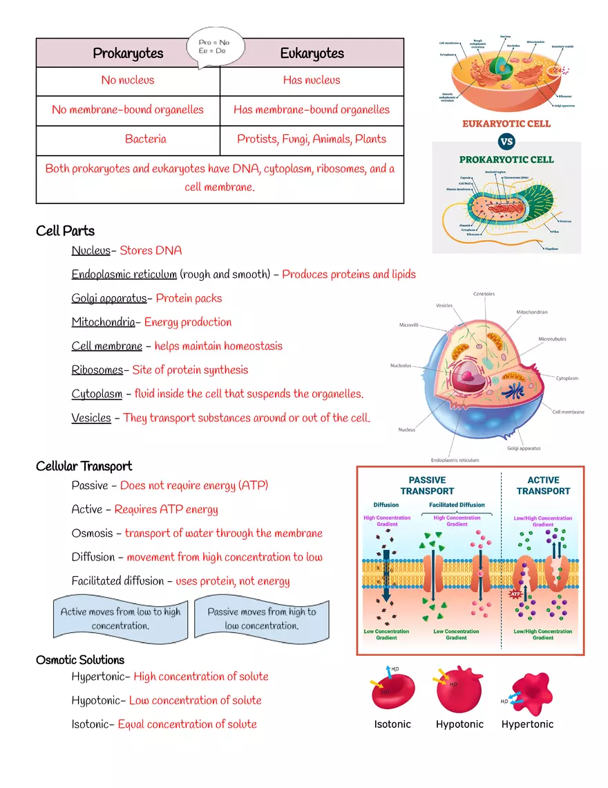 Characteristics of Life Notes - Page 2