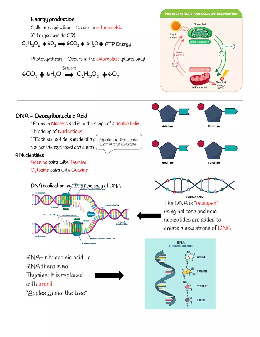 Characteristics of Life Notes - Page 3