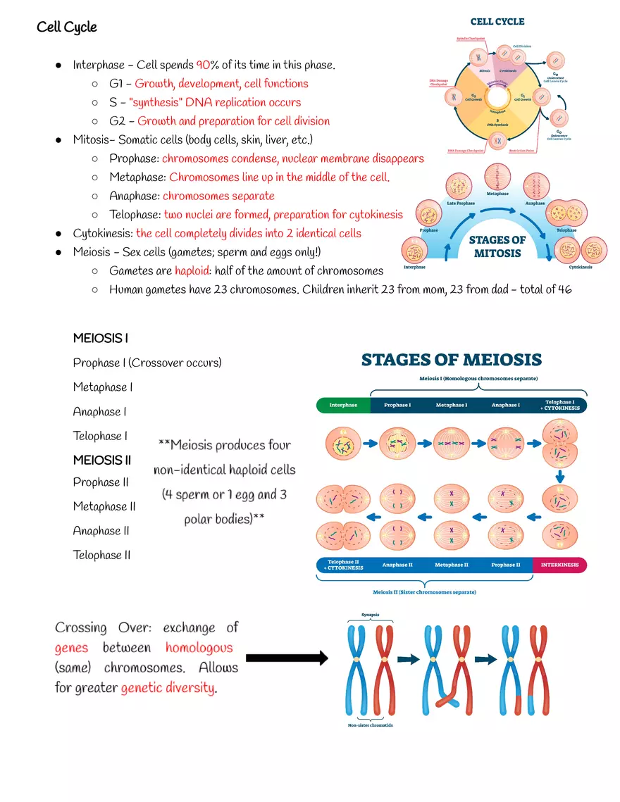 Characteristics of Life Notes - Page 4