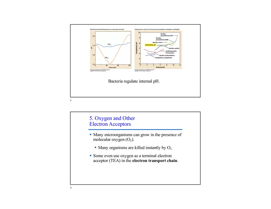 Oxygen and Other Electron Acceptors - Page 1