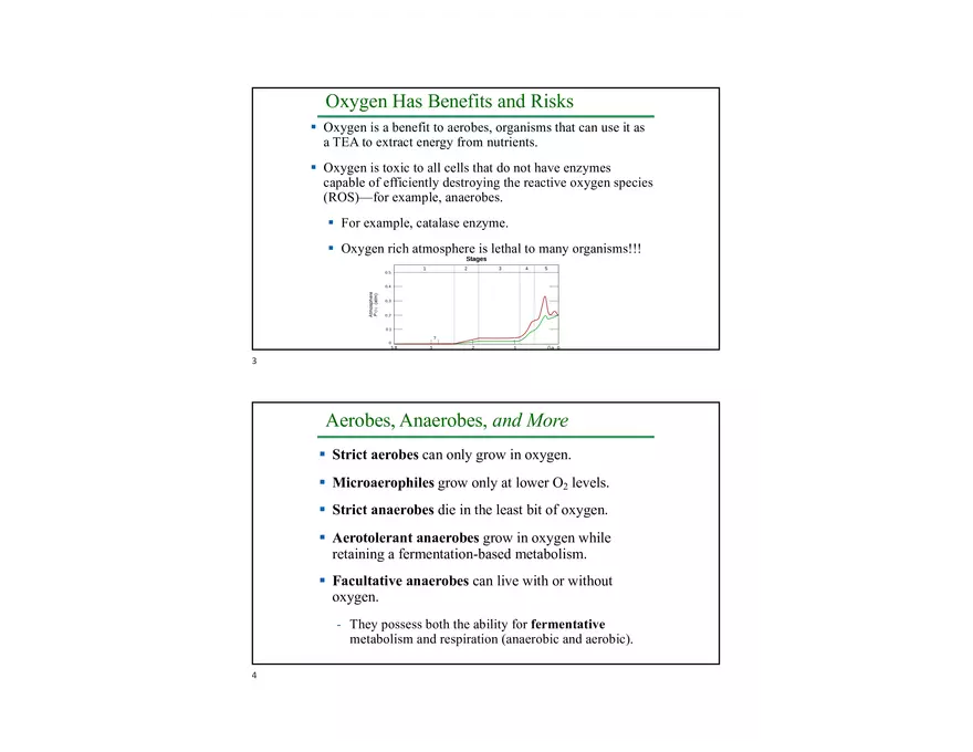 Oxygen and Other Electron Acceptors - Page 2