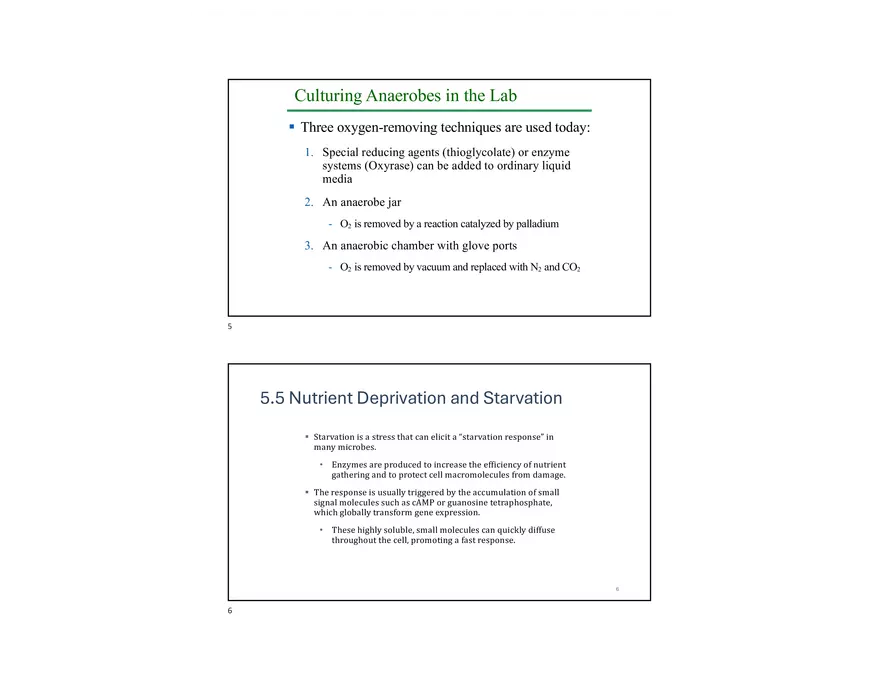 Oxygen and Other Electron Acceptors - Page 3