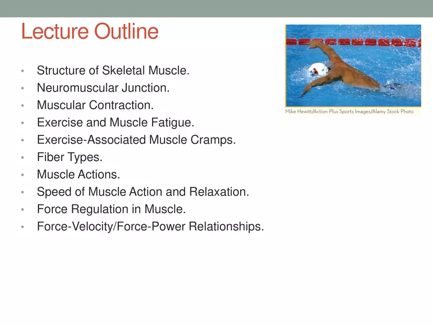 Skeletal Muscle - Structure and Function - Page 2