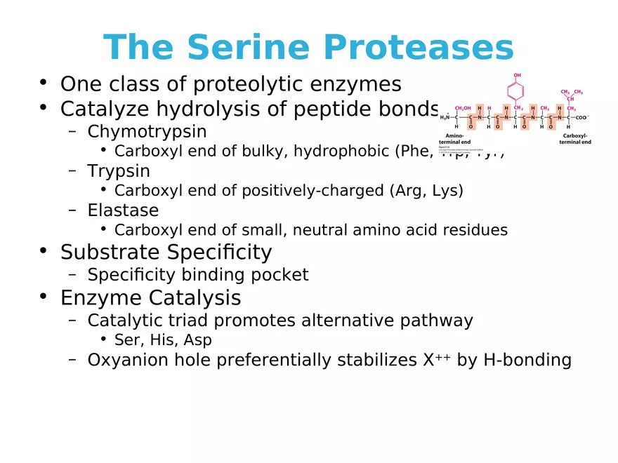 Principles of Biochemistry - Enzymes Lecture 3 - Page 9