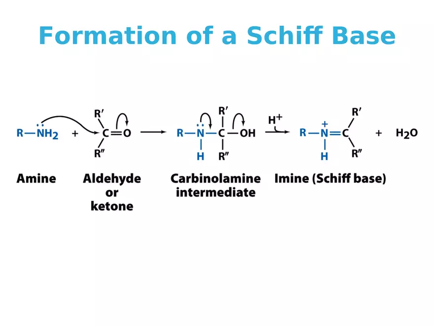 Principles of Biochemistry - Enzymes Lecture 3 - Page 5