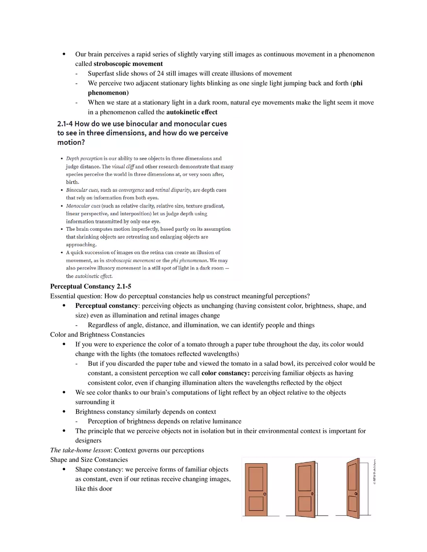 Psychology Unit 2 - Cognition (Part 1) - Page 5