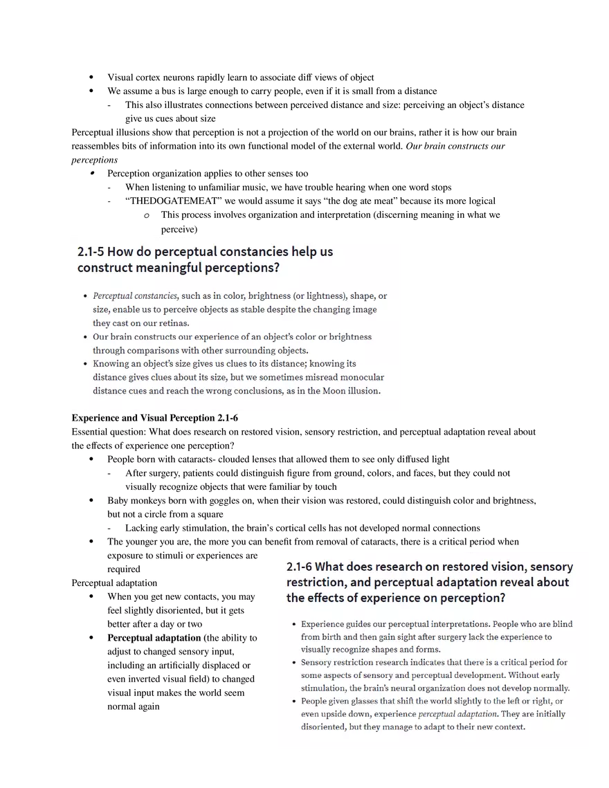Psychology Unit 2 - Cognition (Part 1) - Page 6