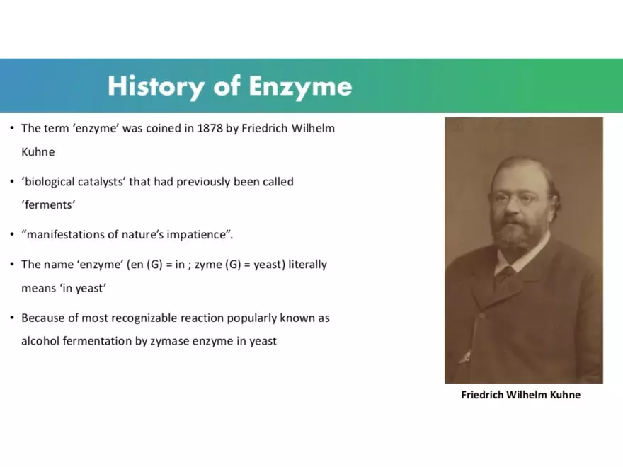 Organic Compounds (Proteins) - Page 2