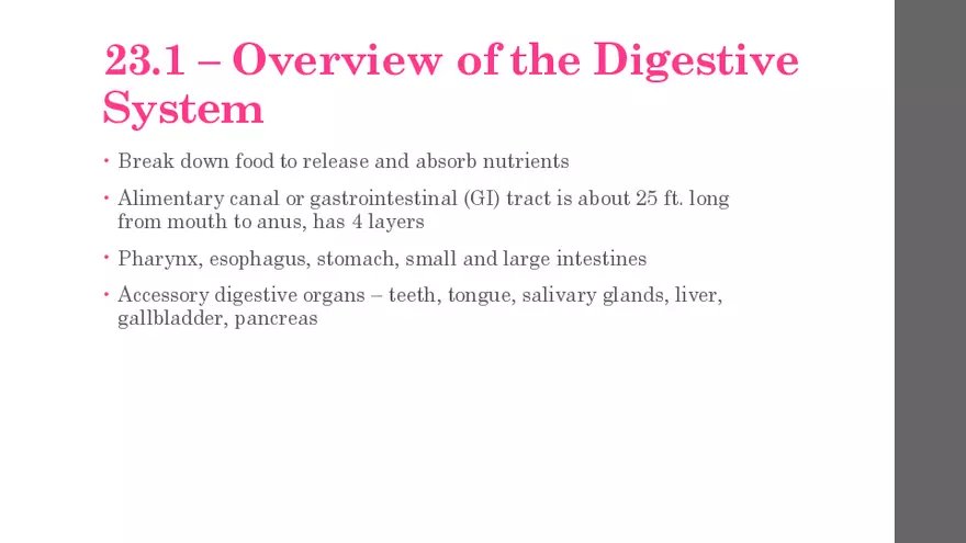 The Digestive System - Page 2