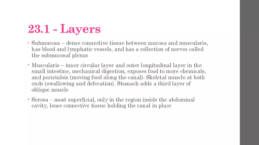 The Digestive System - Page 4
