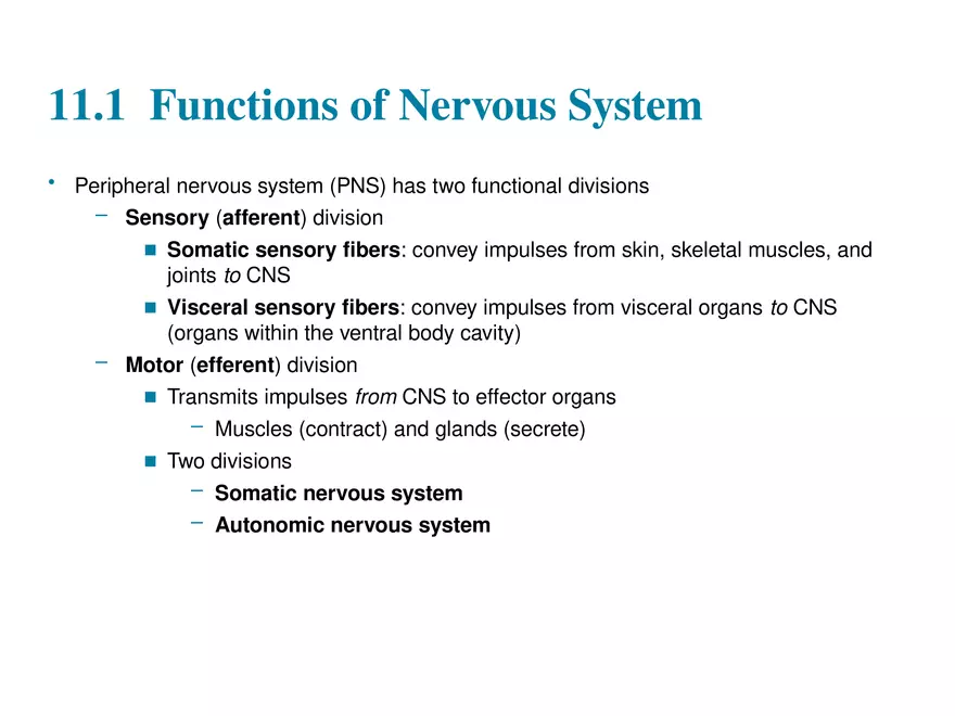 Fundamentals of the Nervous System and Nervous Tissue Lectrure 1 - Page 7