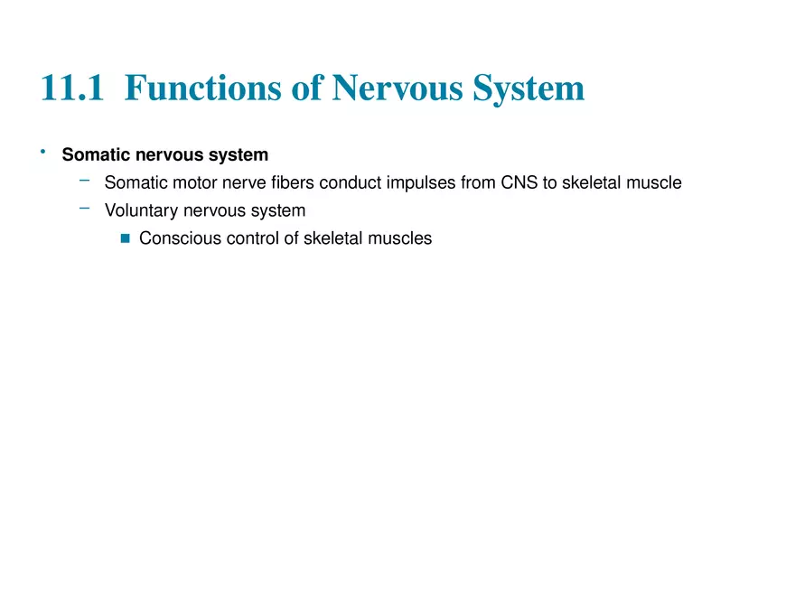 Fundamentals of the Nervous System and Nervous Tissue Lectrure 1 - Page 8