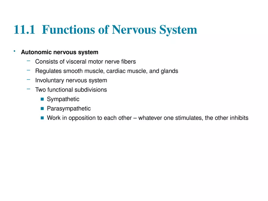Fundamentals of the Nervous System and Nervous Tissue Lectrure 1 - Page 9