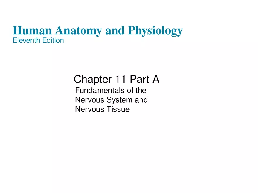 Fundamentals of the Nervous System and Nervous Tissue Lectrure 1 - Page 1