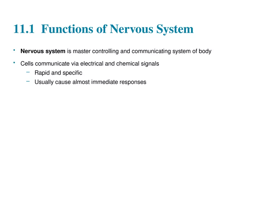 Fundamentals of the Nervous System and Nervous Tissue Lectrure 1 - Page 2